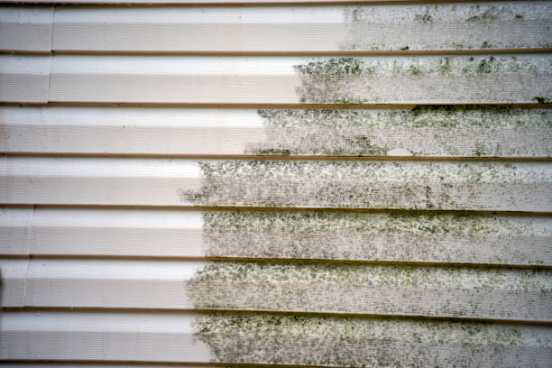 Best Carpet Removal and Disposal  in Sanatoga, PA